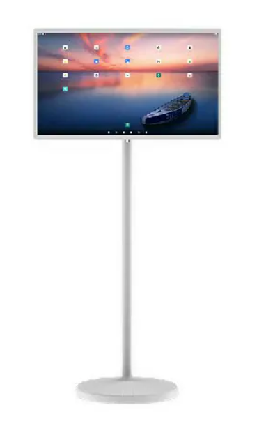Portable TV and Networking (24'' White)
