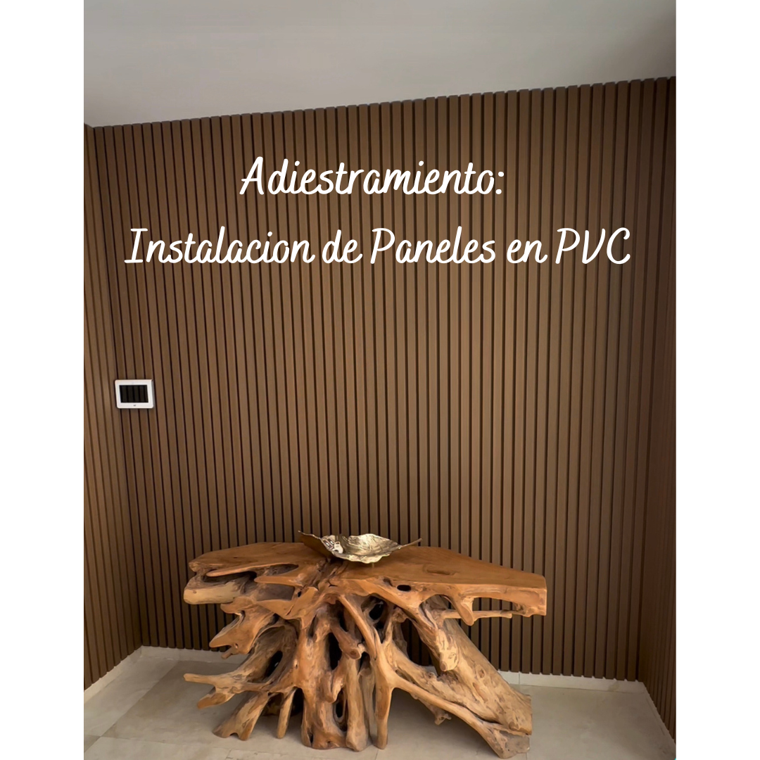 Adiestramiento: Instalación de Paneles en PVC